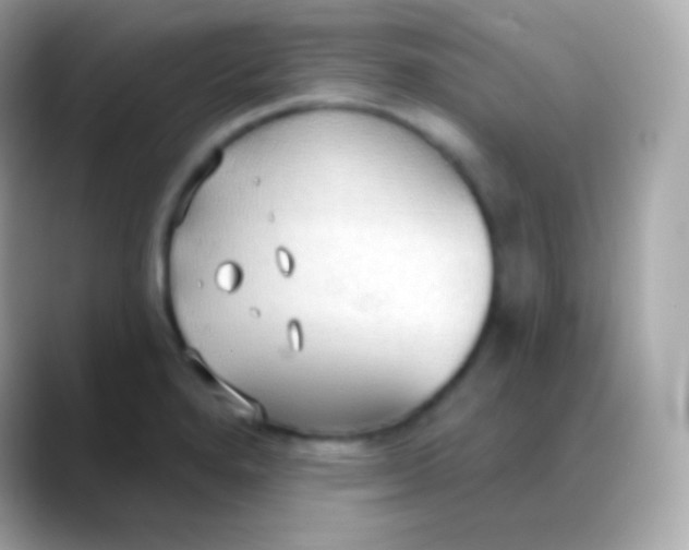 X0000088491280200706051412