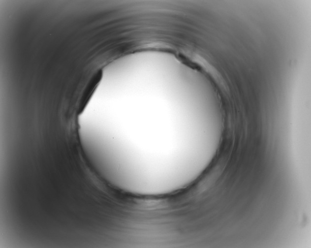 X0000088491281200706051412