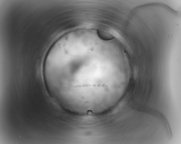 X0000088491283200706051411