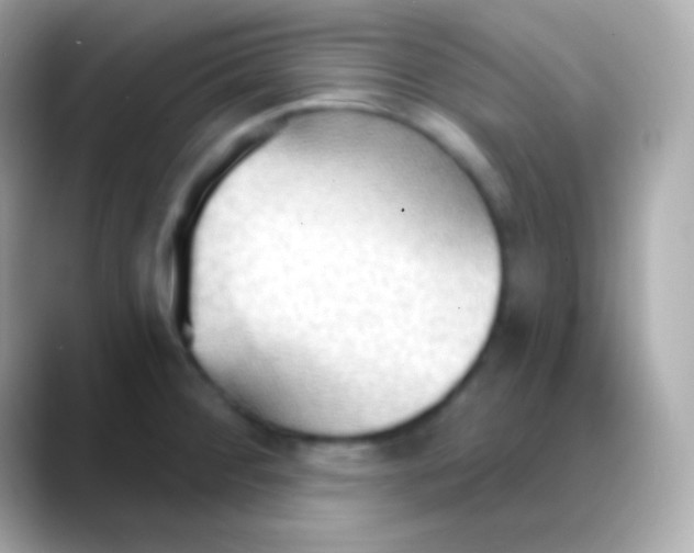 X0000088491284200706051411
