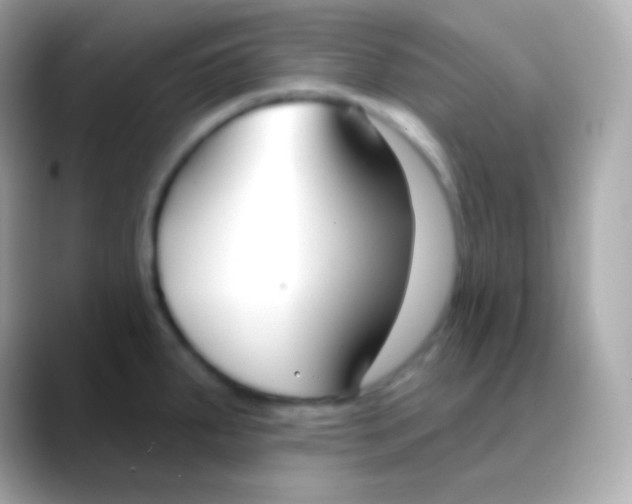 X0000088491287200706051411