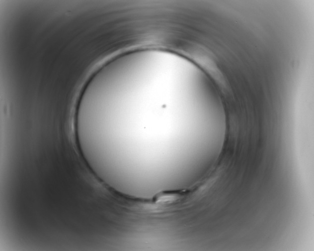 X0000088491288200706051411