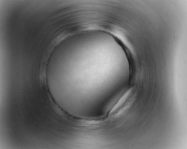 X0000088491289200706051411