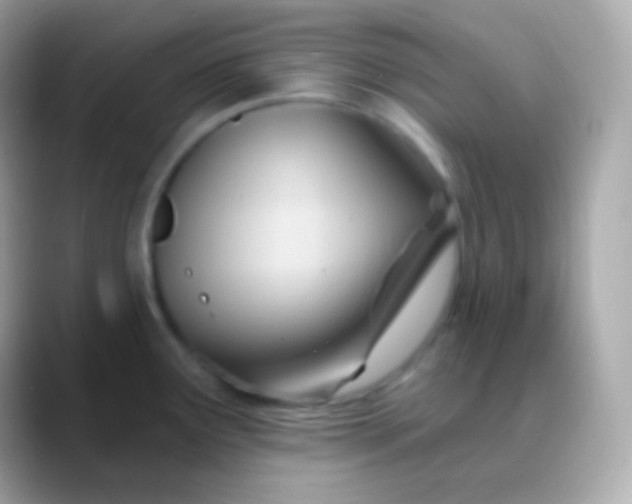 X0000088491291200706051411