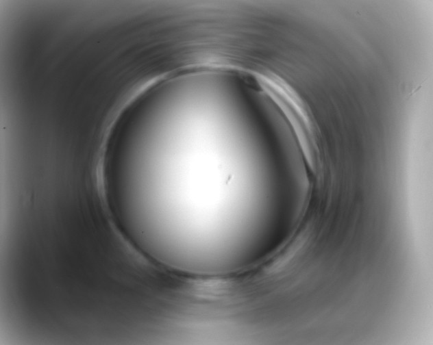 X0000088491293200706051411