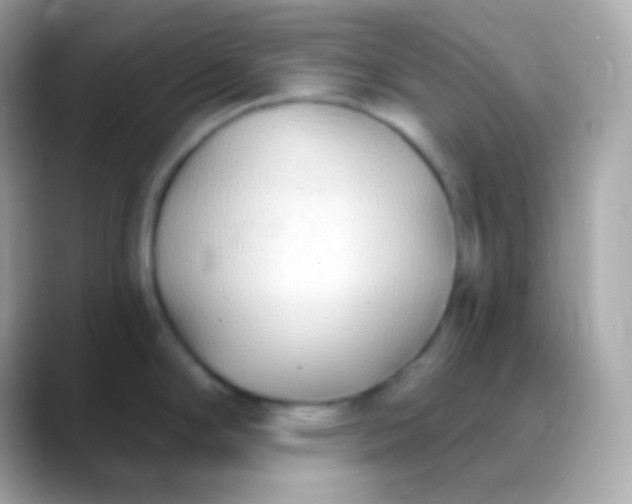 X0000088491294200706051411