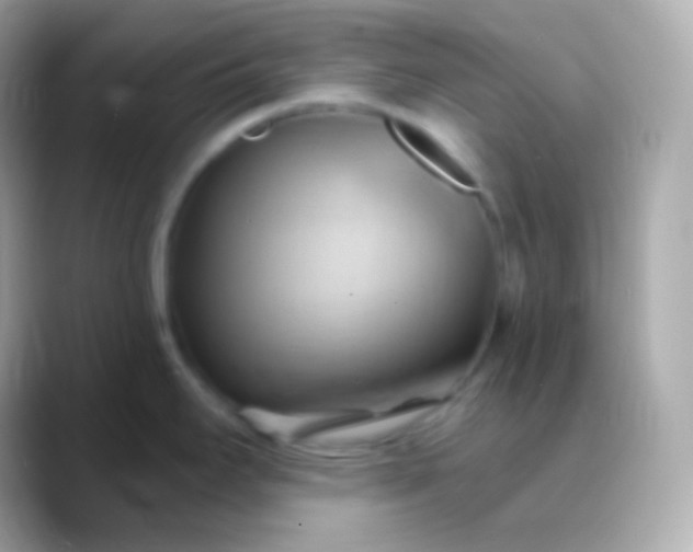 X0000088491295200706051411