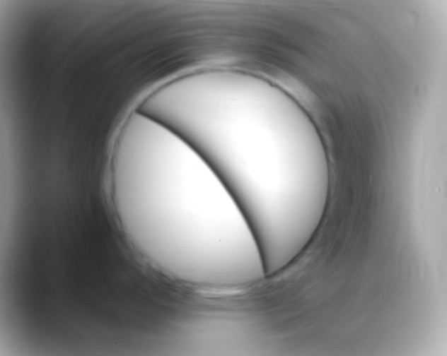 X0000088491296200706051411