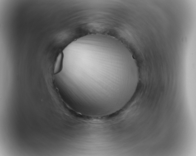 X0000088491297200706051411