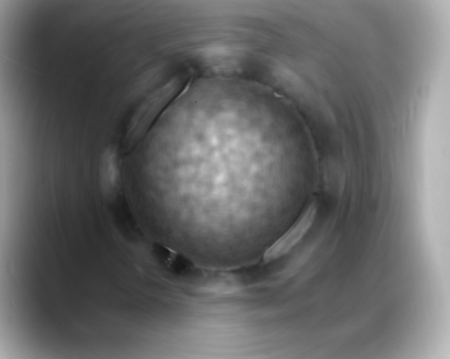 X0000088491298200706051411