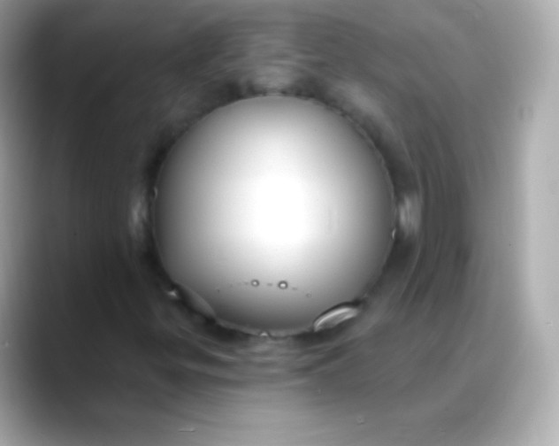 X0000088491299200706051411