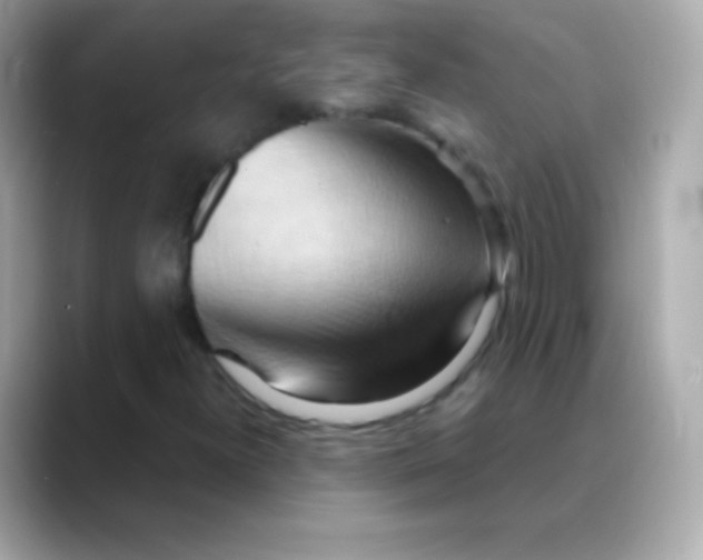 X0000088491300200706051411