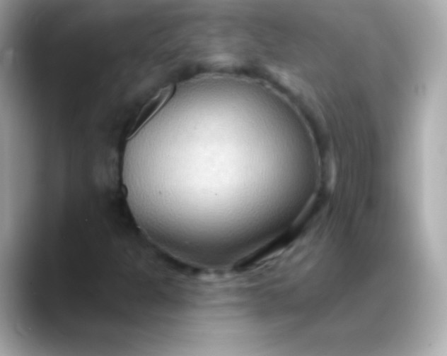 X0000088491301200706051411