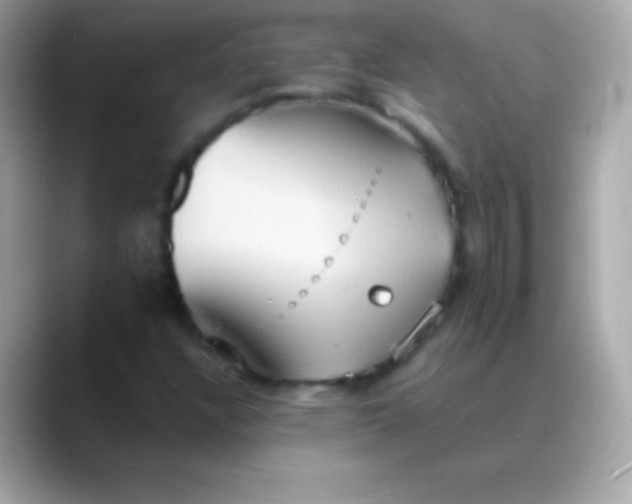 X0000088491304200706051411