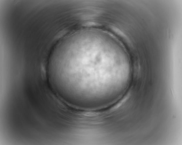 X0000088491305200706051411