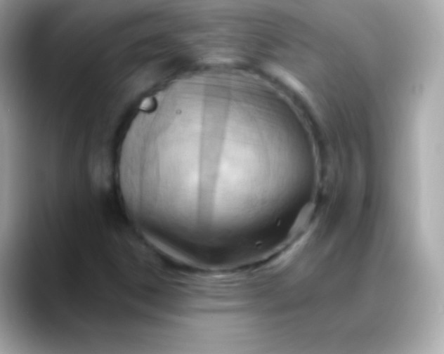 X0000088491306200706051411
