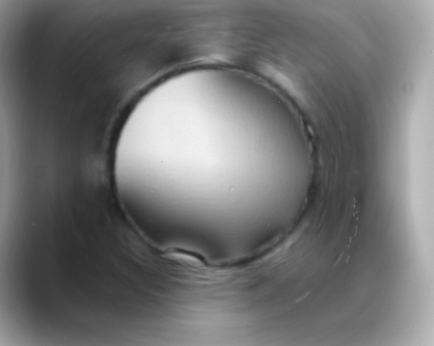 X0000088491308200706051411