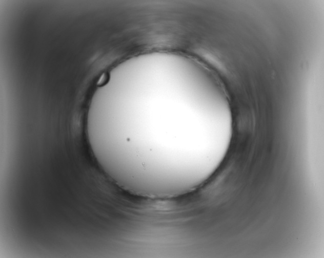 X0000088491309200706051411