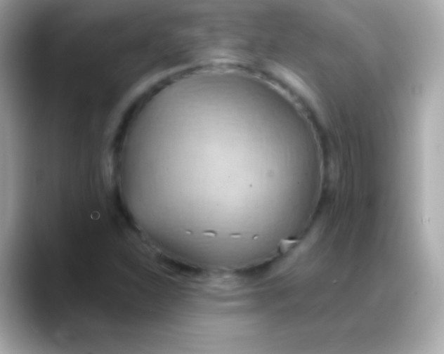 X0000088491310200706051411