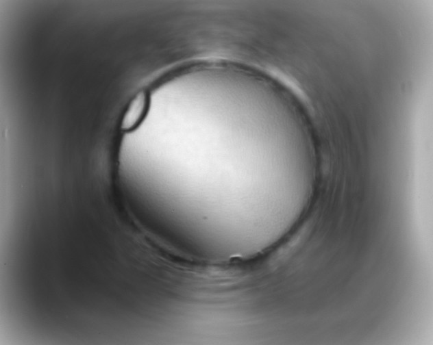 X0000088491311200706051411