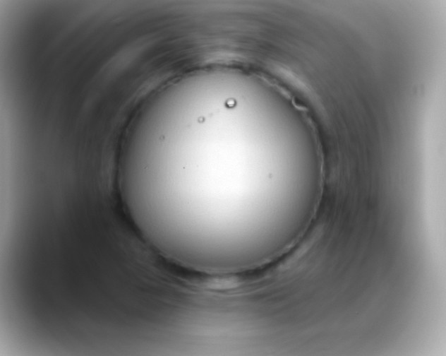 X0000088491313200706051411