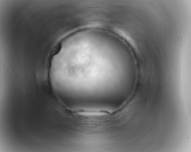 X0000088491316200706051411