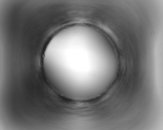 X0000088491318200706051411