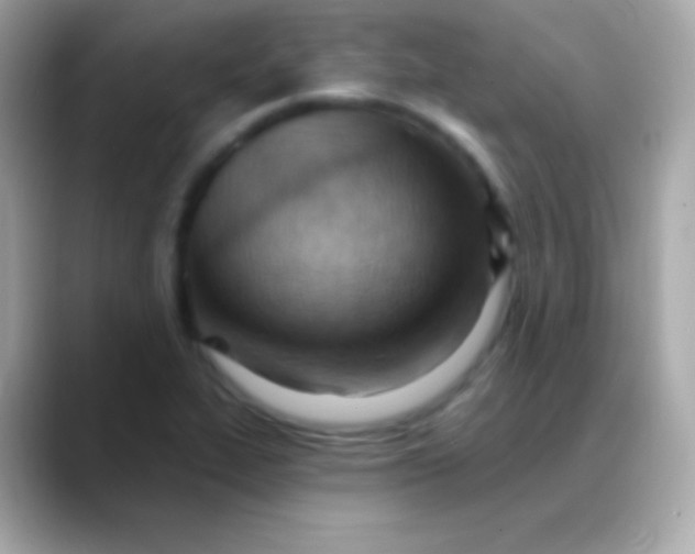 X0000088491319200706051411