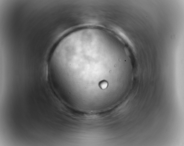 X0000088491320200706051411
