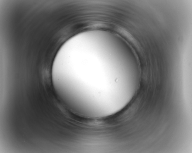X0000088491321200706051411