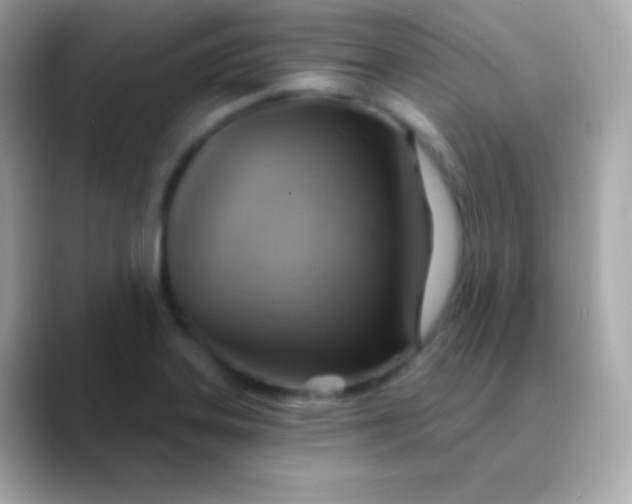 X0000088491323200706051411