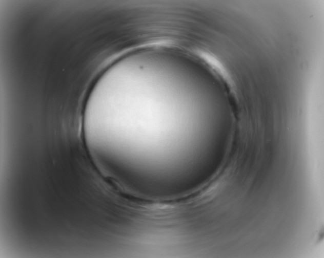 X0000088491324200706051411