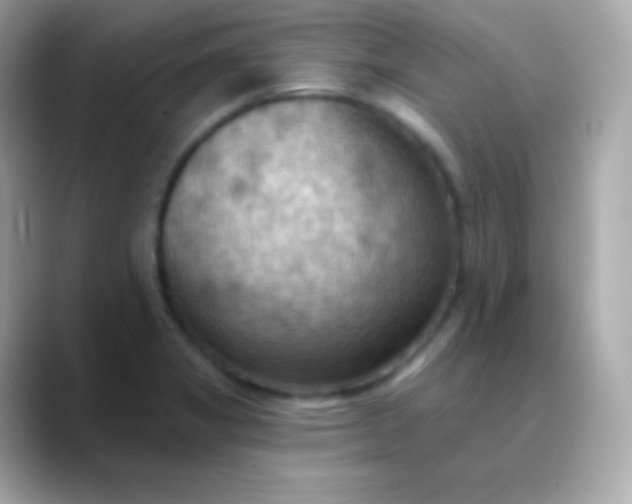 X0000088491325200706051411