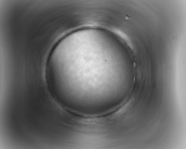 X0000088491326200706051411