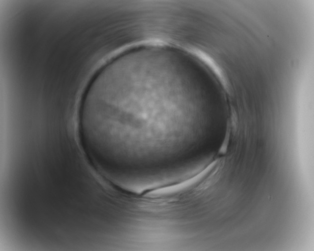 X0000088491327200706051411