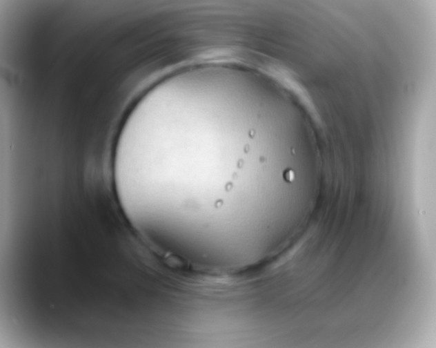 X0000088491328200706051411