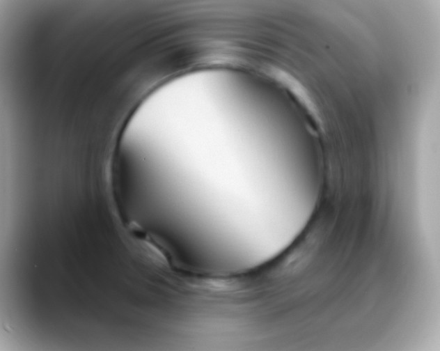 X0000088491330200706051411