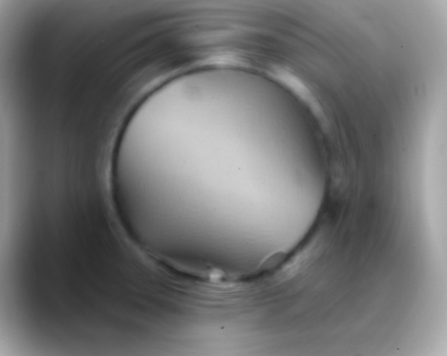 X0000088491331200706051411