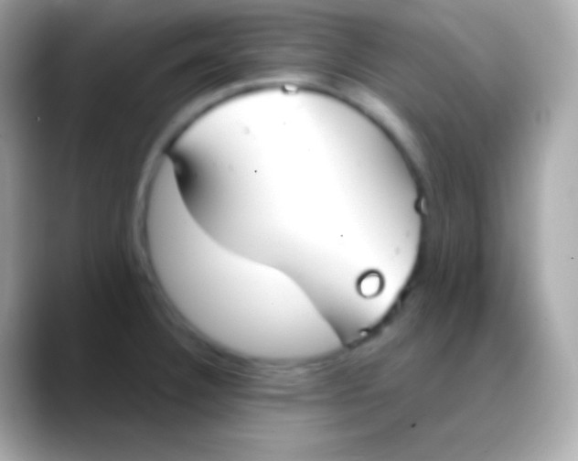 X0000088491332200706051411