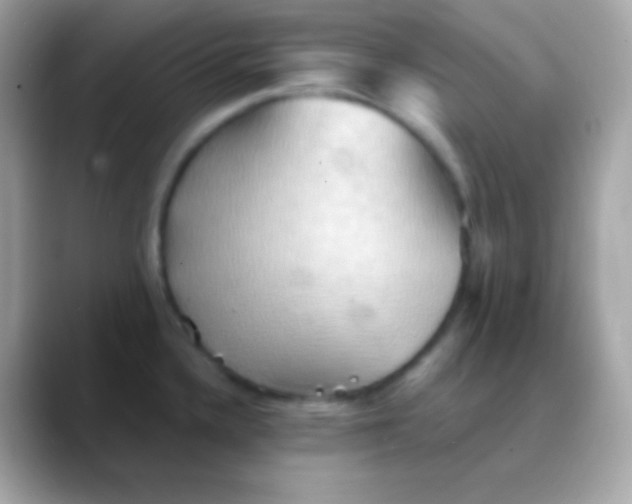 X0000088491336200706051411
