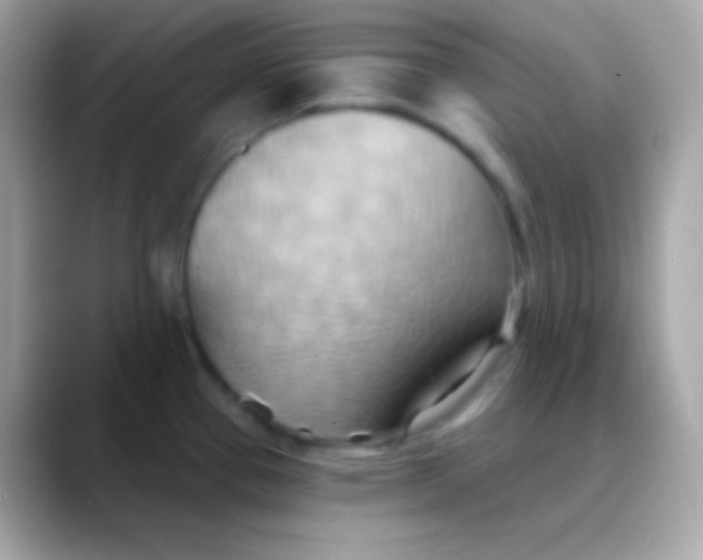 X0000088491337200706051411