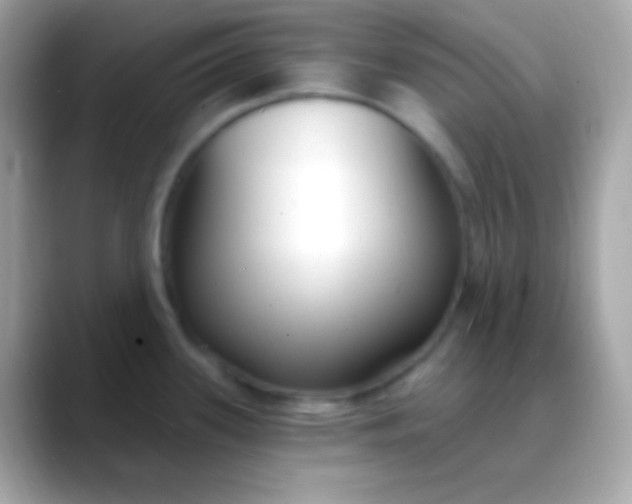 X0000088491339200706051411