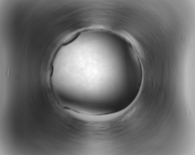 X0000088491340200706051411