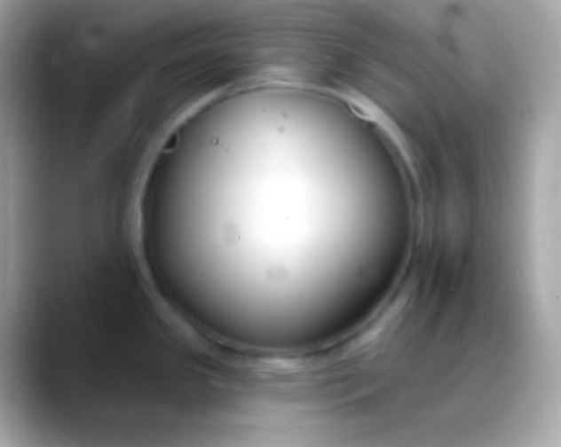 X0000088491341200706051411