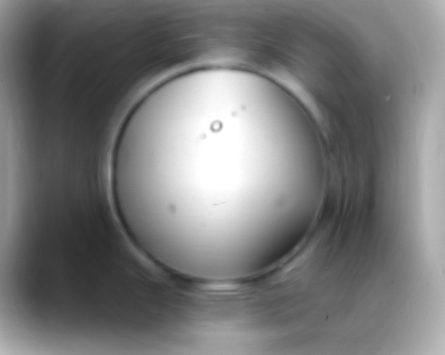 X0000088491343200706051411