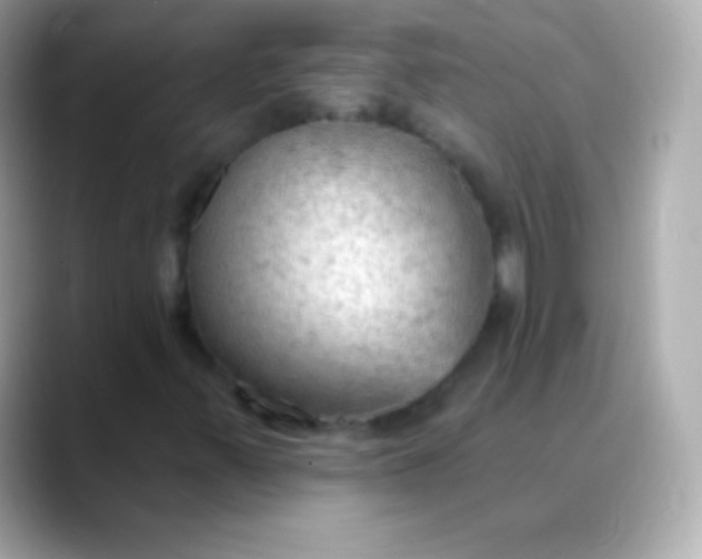 X0000088491347200706051411