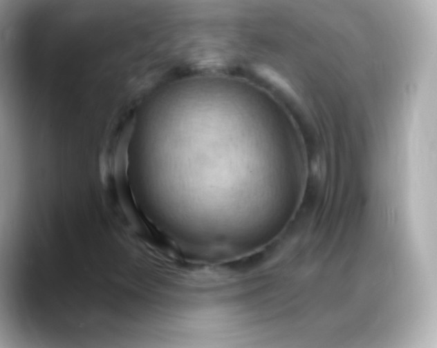 X0000088491348200706051411