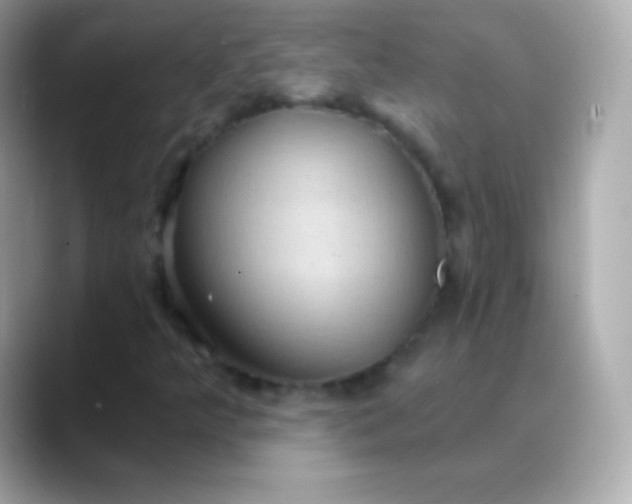 X0000088491349200706051411