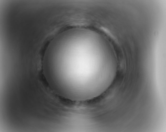 X0000088491350200706051411
