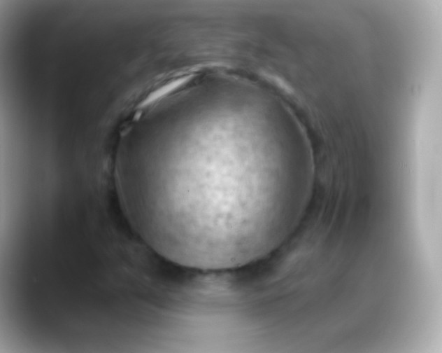 X0000088491351200706051411